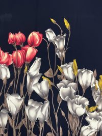 изображение_viber_2023-07-22_19-18-05