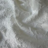 photo_2026-03-24_13-21-35